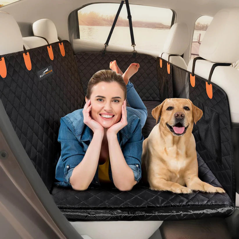 Protection de siège auto rigide pour chien