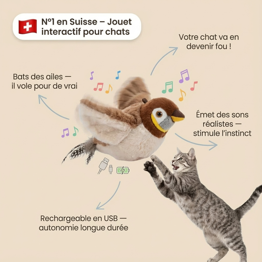 Oiseau Interactif Électrique Rechargeable pour Chat